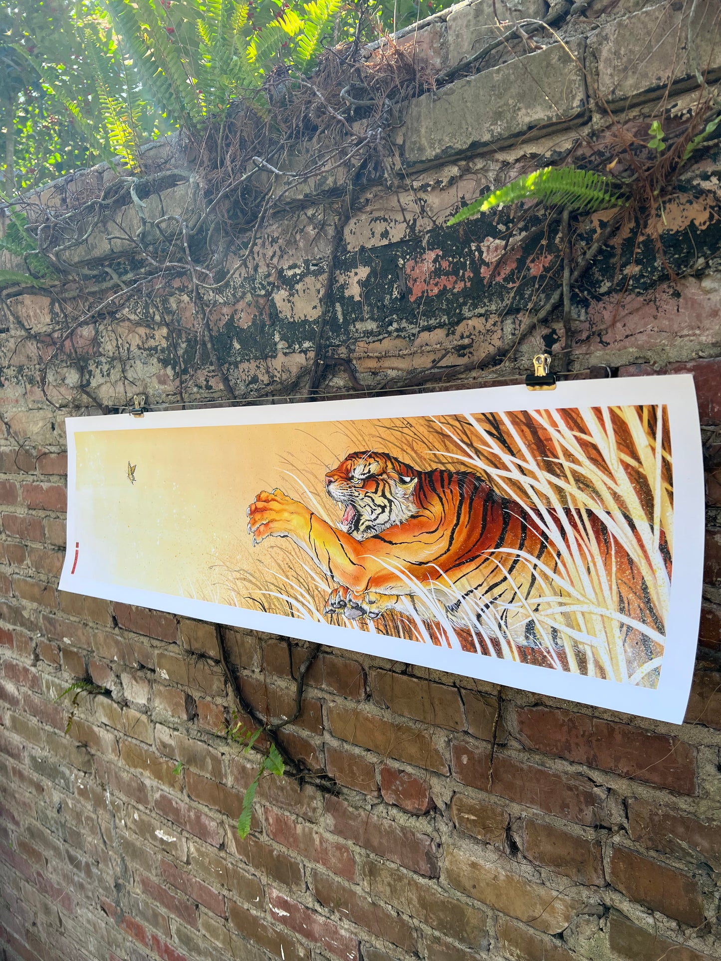 Quarry Tiger Print